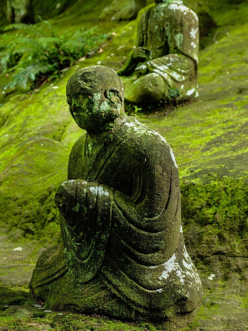 Park Meditation